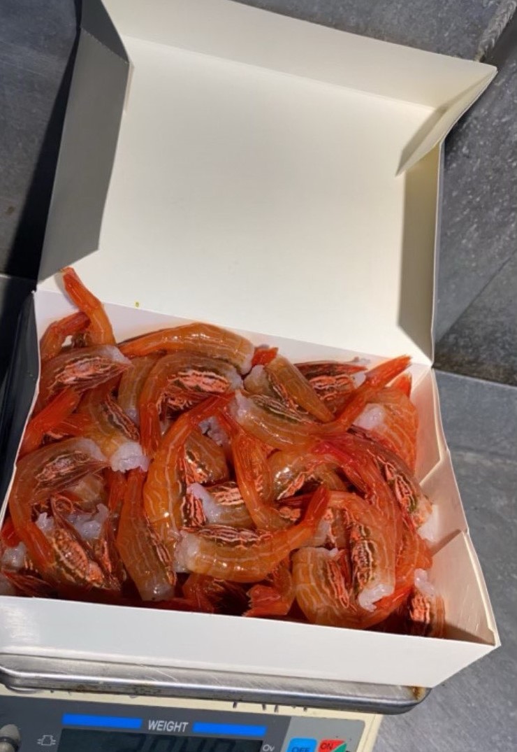 Fresh Wild-Caught Alaska Shrimp