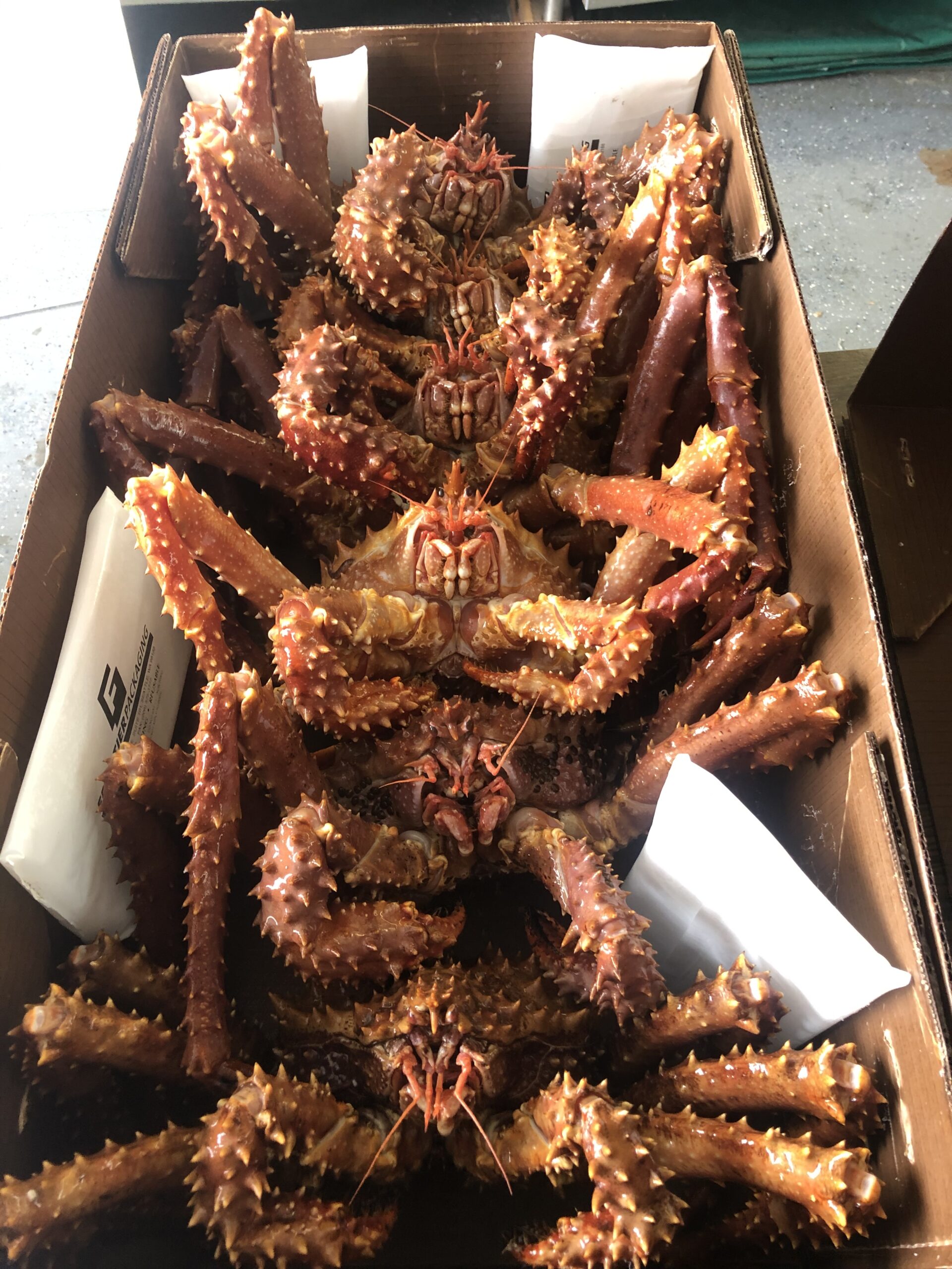 Alaska Crabs